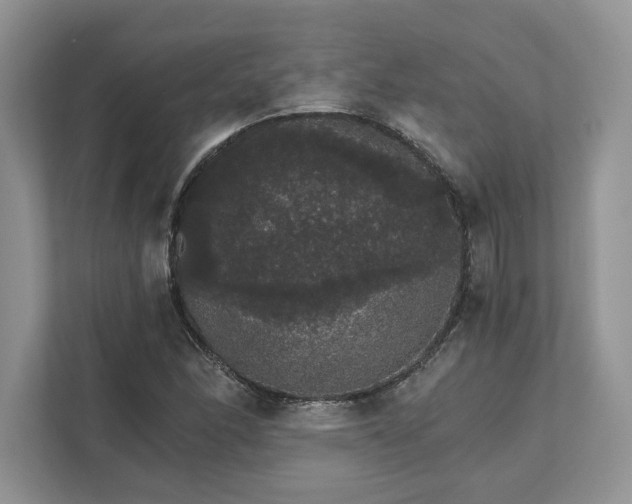 X0000111581166200907301358