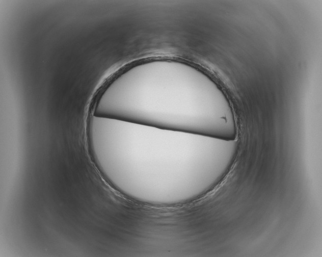 X0000111581168200907301358