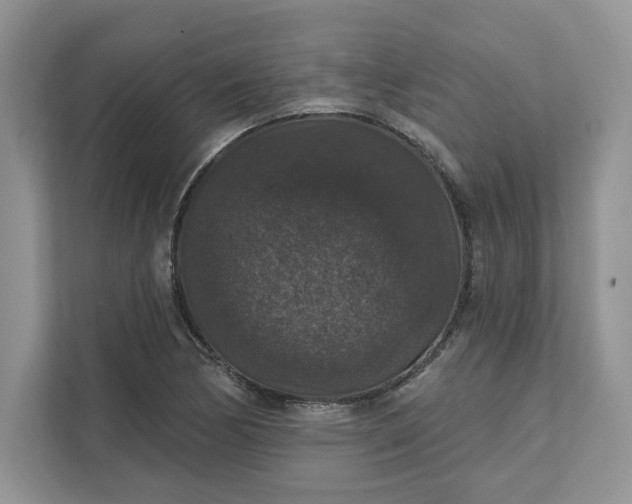 X0000111581170200907301358