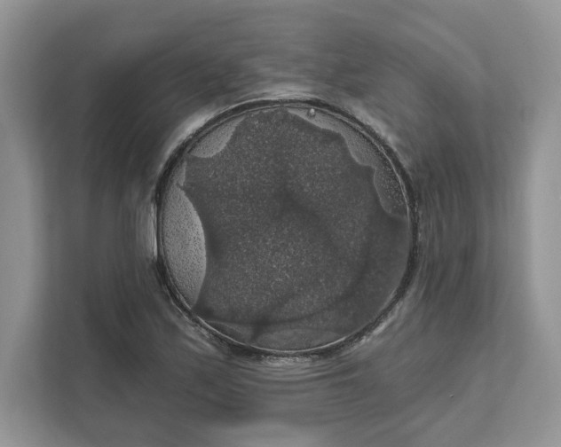 X0000111581171200907301358