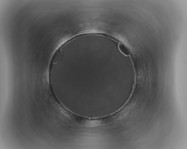 X0000111581173200907301358