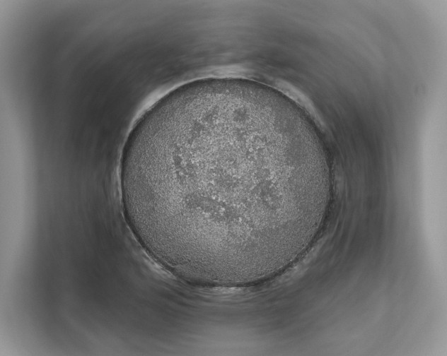 X0000111581176200907301358