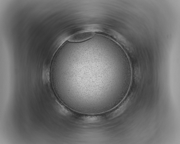 X0000111581177200907301358