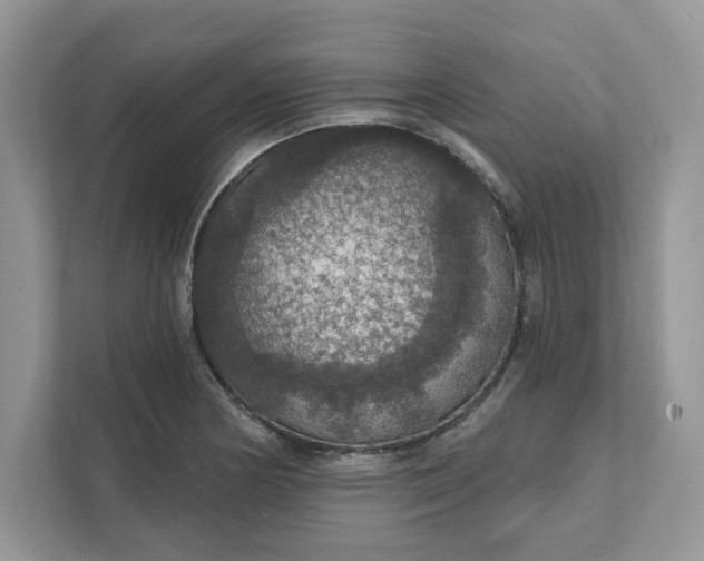 X0000111581178200907301358