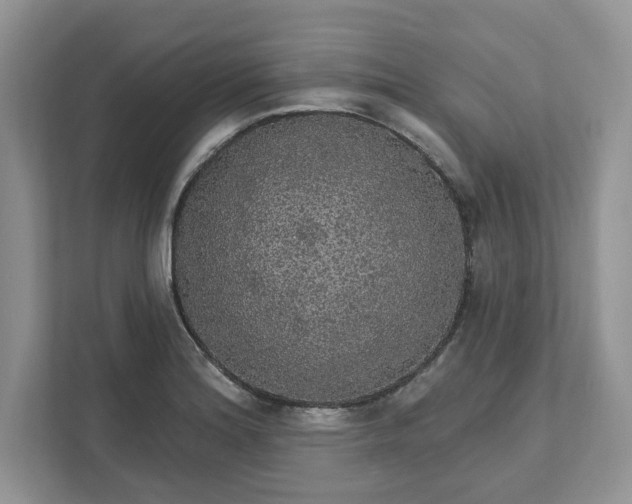 X0000111581180200907301358