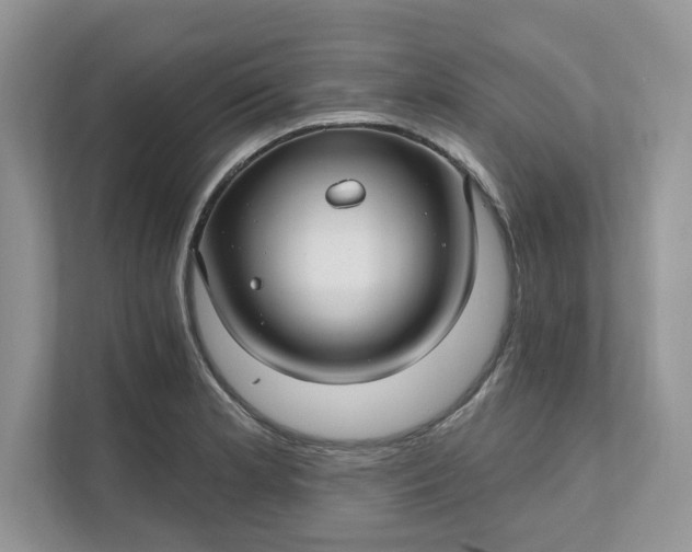 X0000111581181200907301358