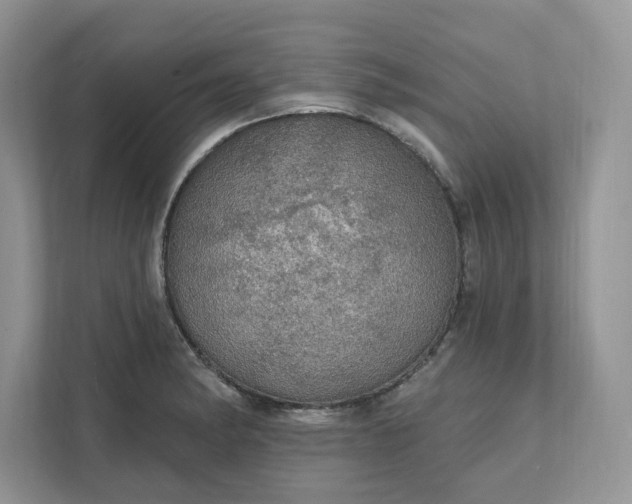 X0000111581182200907301358