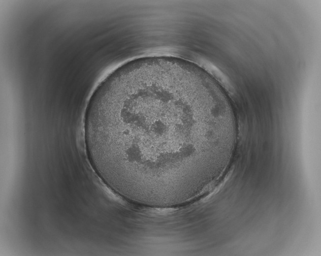 X0000111581184200907301358