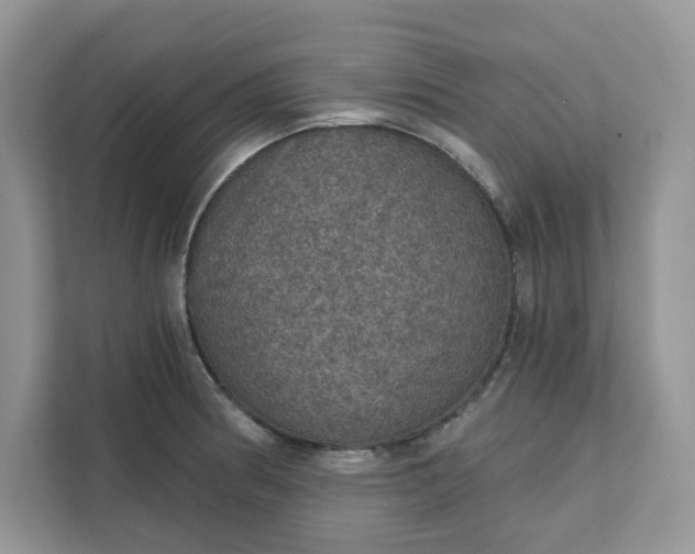 X0000111581186200907301358