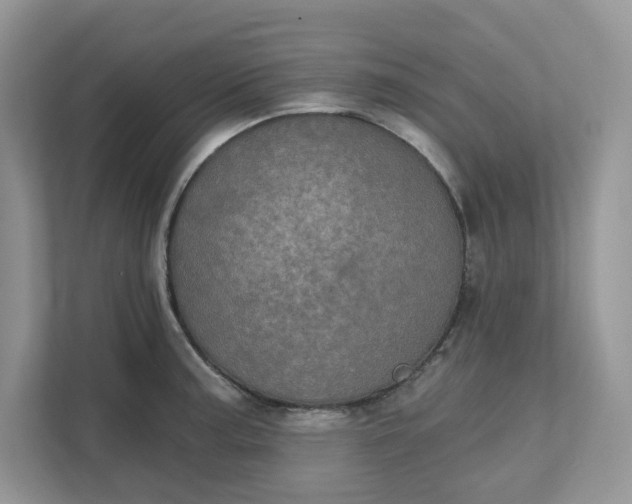 X0000111581187200907301358