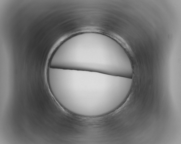 X0000111581188200907301358