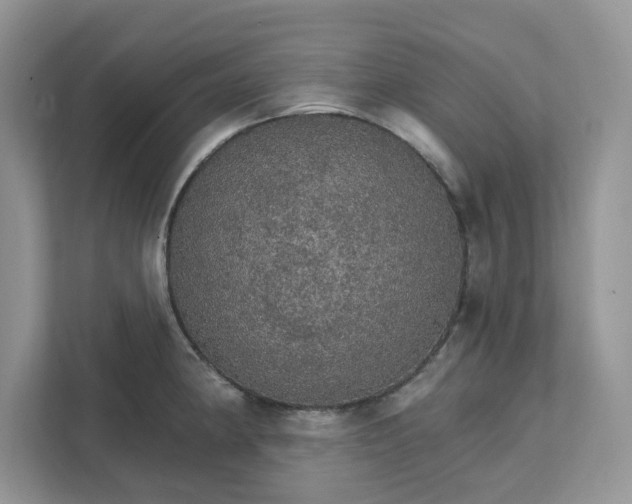 X0000111581190200907301358