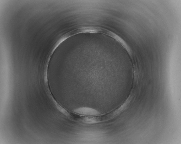 X0000111581194200907301358