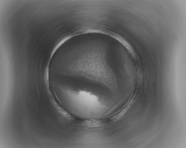 X0000111581198200907301358