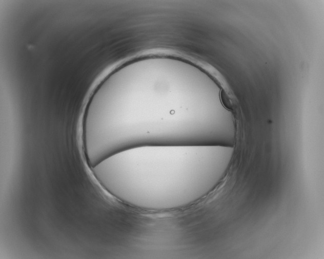 X0000111581199200907301358