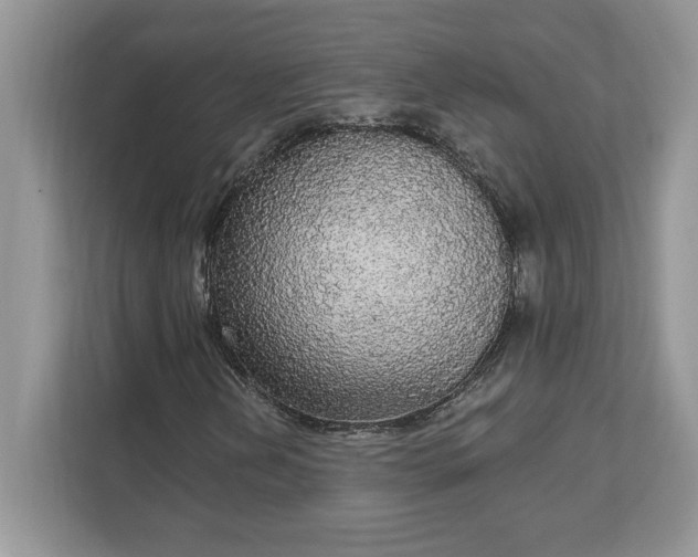 X0000111581202200907301357