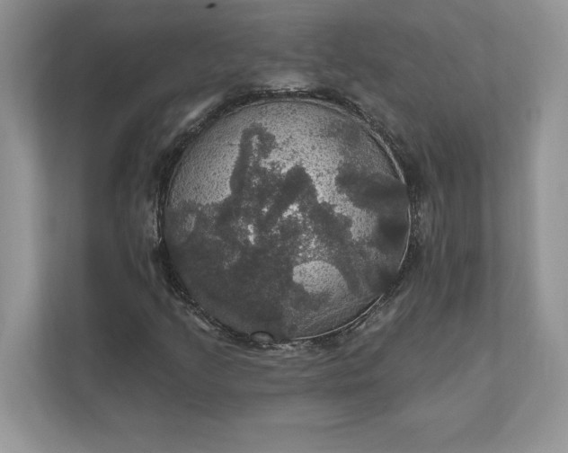 X0000111581205200907301357