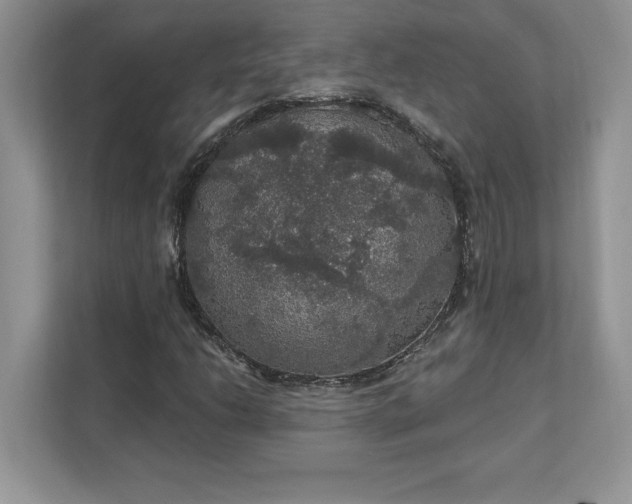 X0000111581206200907301357