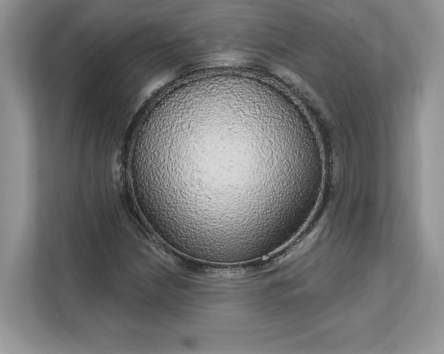 X0000111581210200907301357