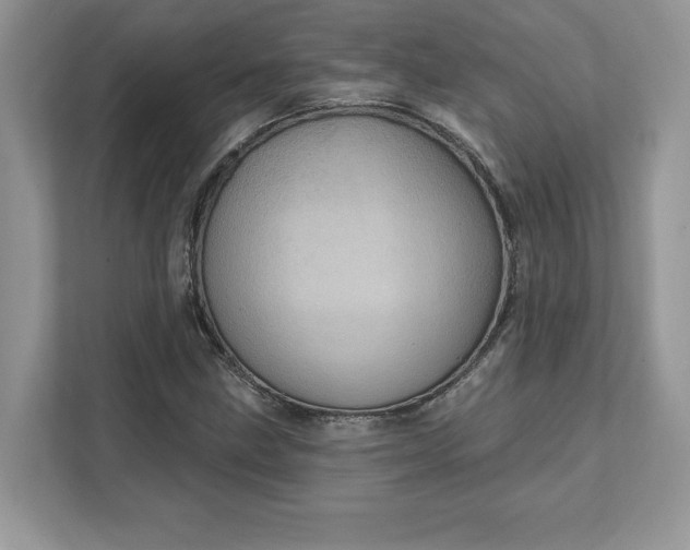 X0000111581211200907301357