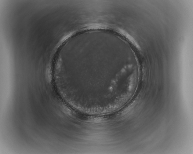 X0000111581213200907301357