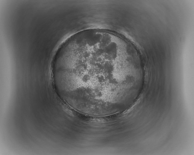 X0000111581215200907301357