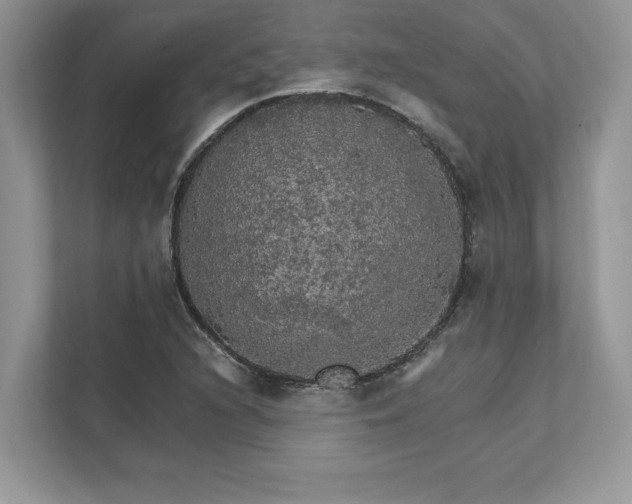 X0000111581216200907301357