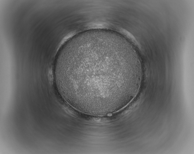 X0000111581218200907301357