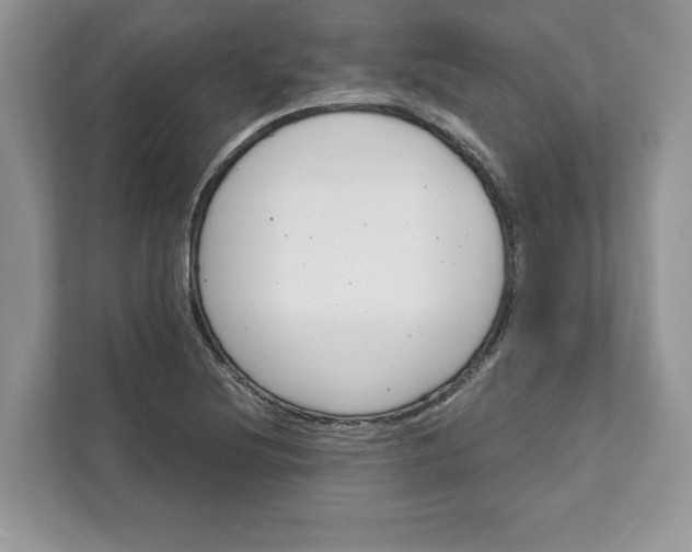 X0000111581220200907301357