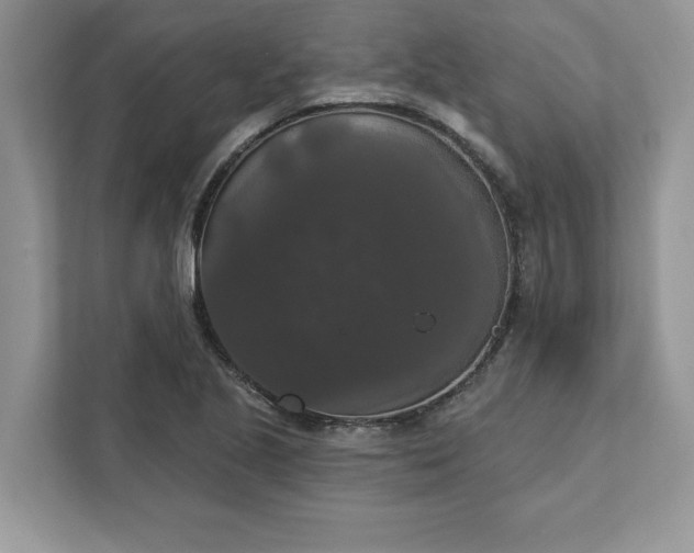 X0000111581221200907301357