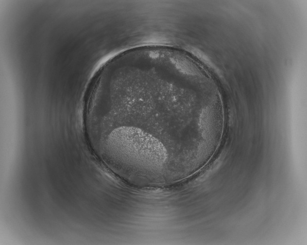 X0000111581222200907301357