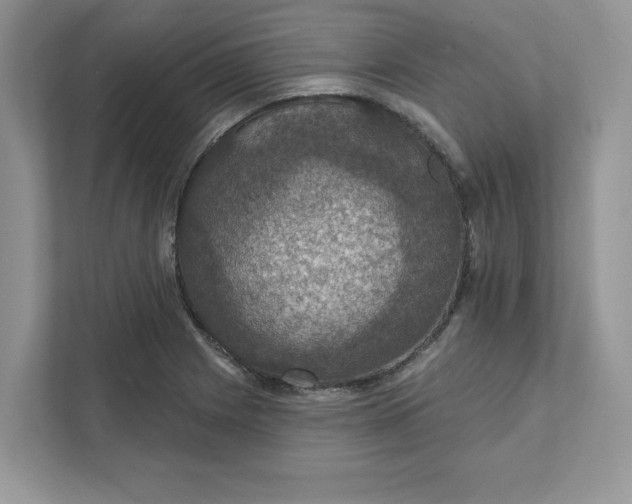 X0000111581225200907301357