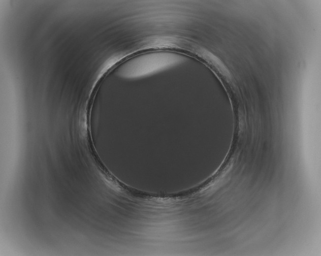 X0000111581226200907301357