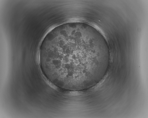 X0000111581227200907301358