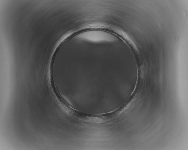 X0000111581229200907301358