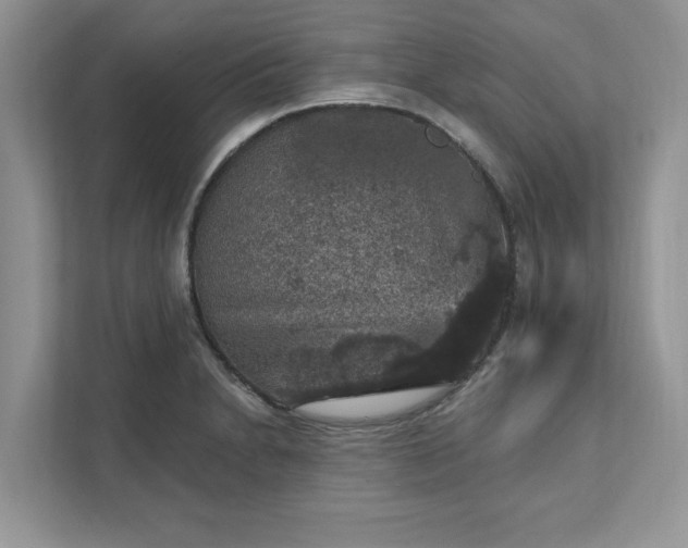 X0000111581230200907301358