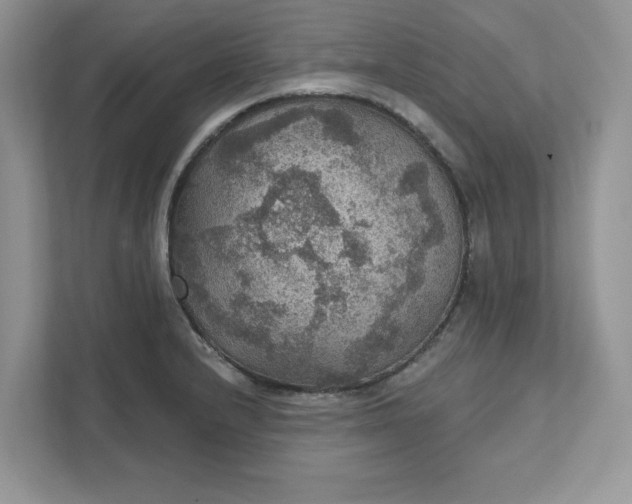 X0000111581232200907301358