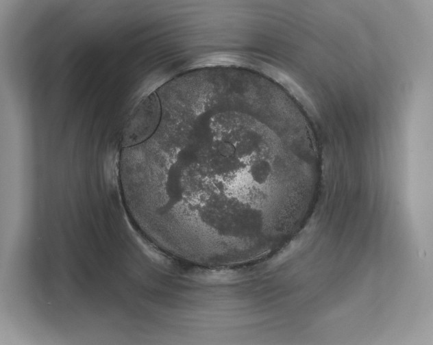 X0000111581233200907301358