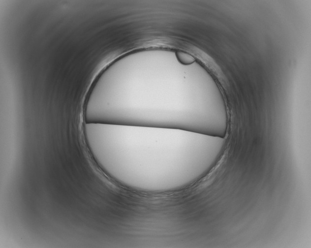 X0000111581234200907301358