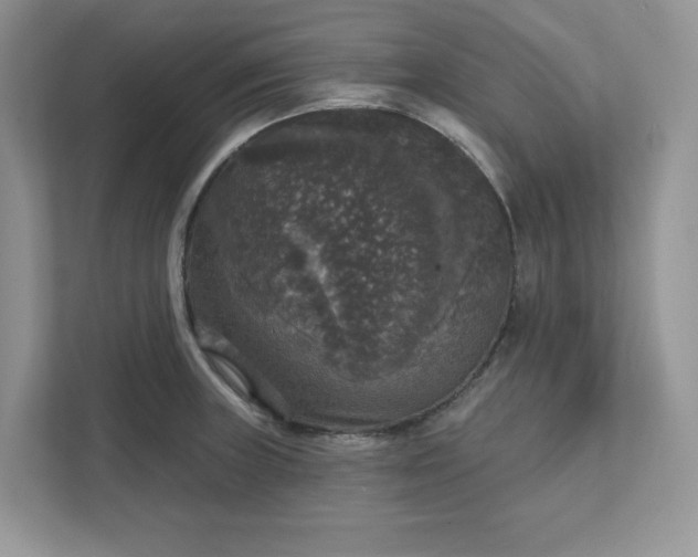 X0000111581235200907301358