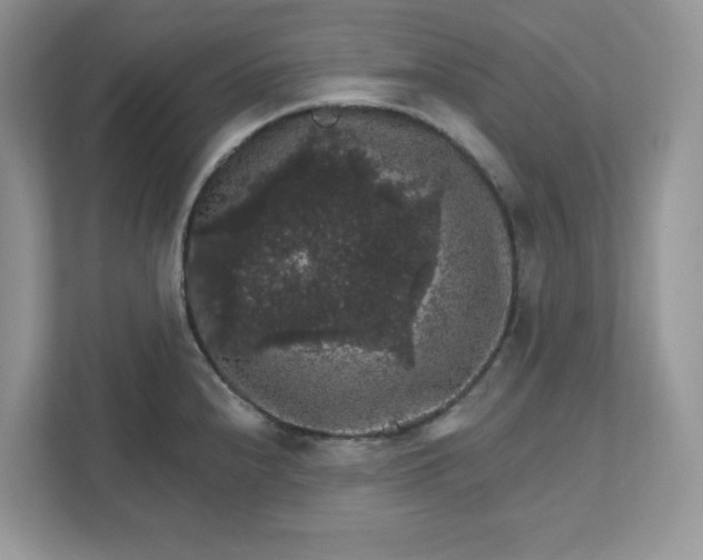 X0000111581240200907301358