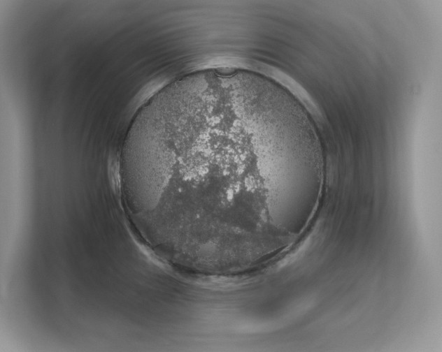 X0000111581241200907301358