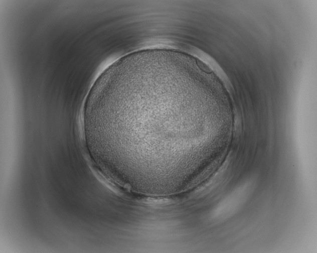 X0000111581242200907301358