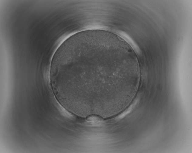 X0000111581244200907301358