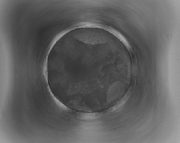 X0000111581247200907301358