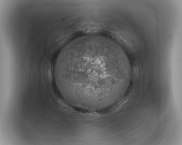 X0000111581250200907301357