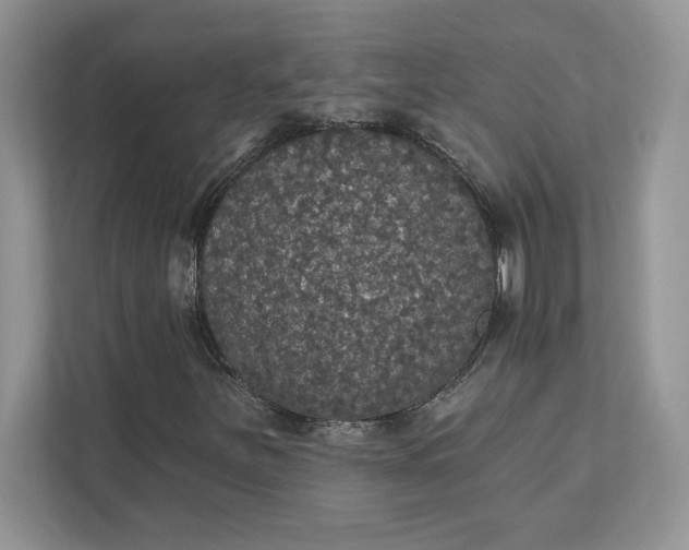 X0000111581251200907301357