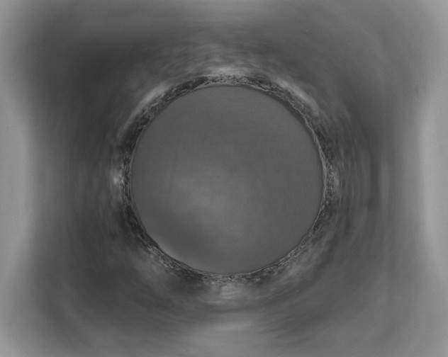 X0000111581254200907301357