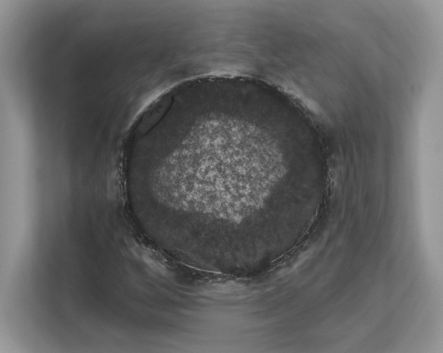 X0000111581256200907301357