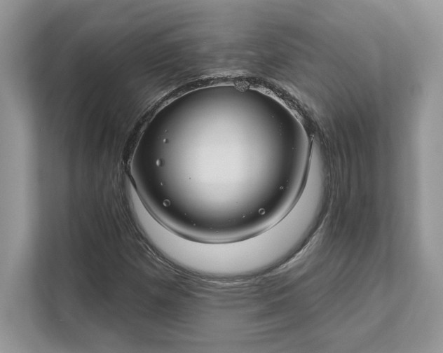 X0000111581257200907301357